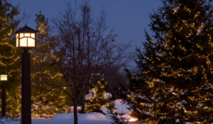 Snow scene of Light up the Life trees