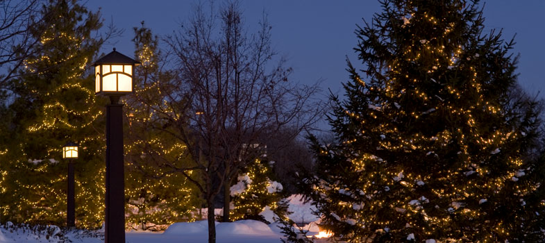 Snow scene of Light up the Life trees