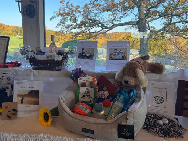 WDU Web Photo template18