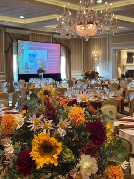 WDU Web Photo template34